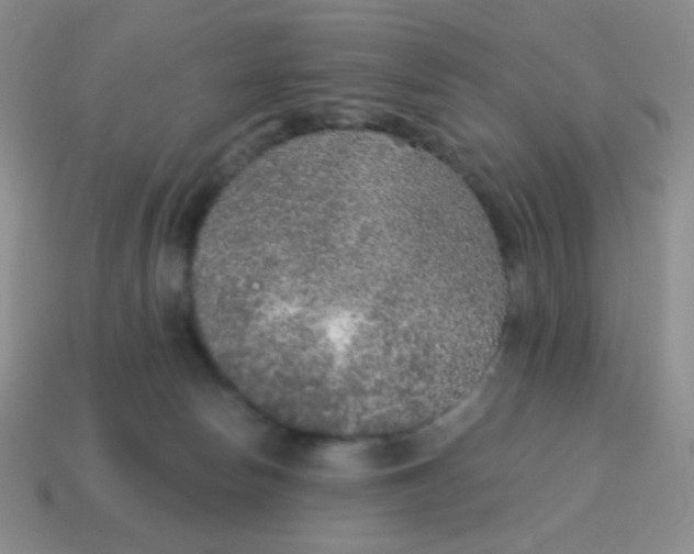 X0000115070178200911101310