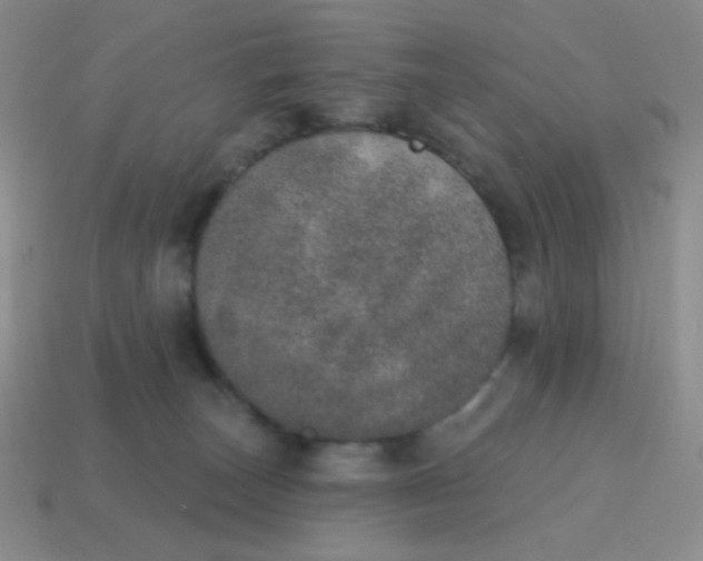 X0000115070179200911101310
