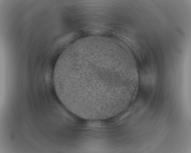 X0000115070181200911101310