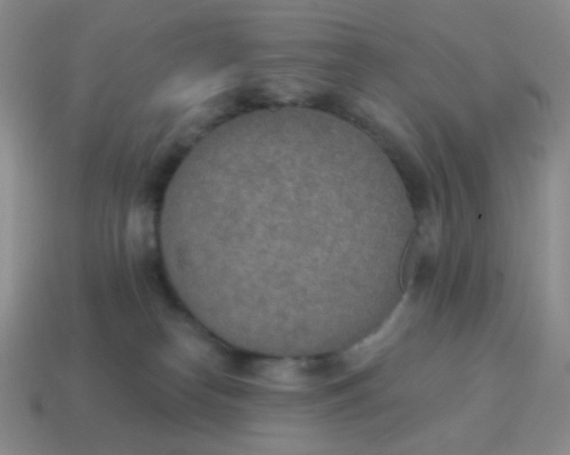 X0000115070182200911101310