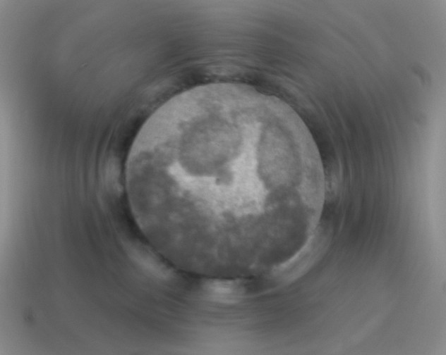 X0000115070187200911101310