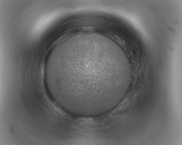 X0000115070194200911101310