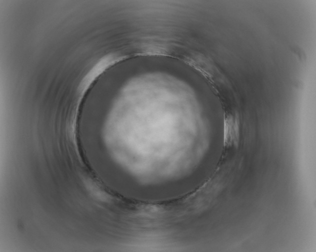 X0000115070195200911101310