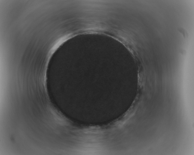 X0000115070196200911101310