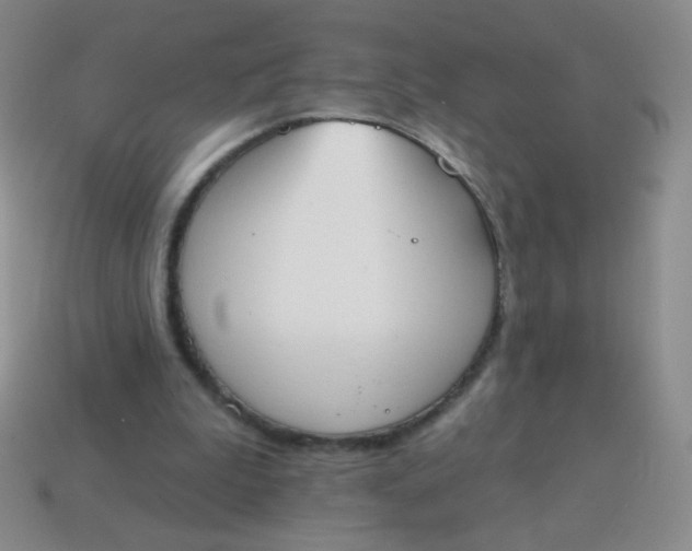 X0000115070199200911101310