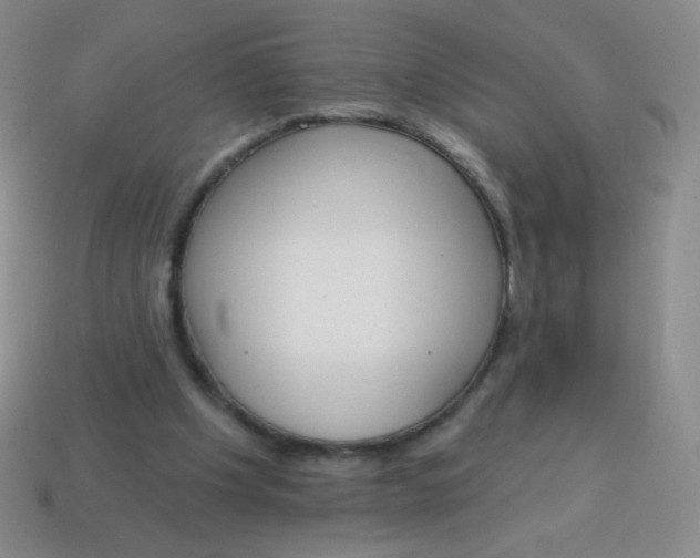 X0000115070201200911101310