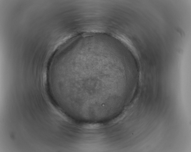 X0000115070202200911101310