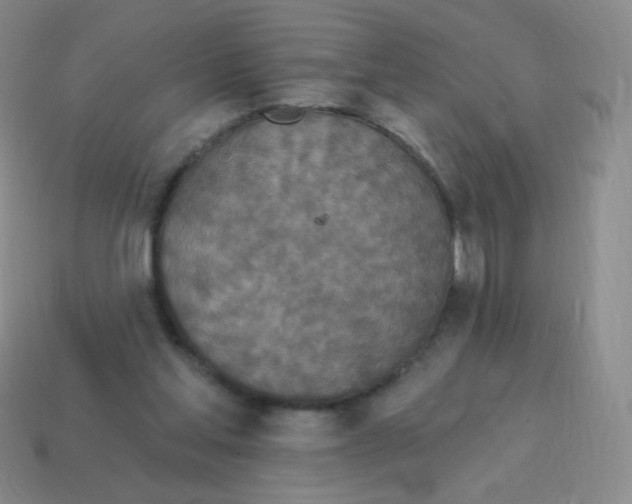 X0000115070205200911101310