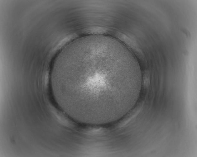 X0000115070206200911101310