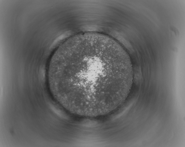 X0000115070207200911101310
