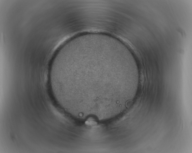 X0000115070208200911101310