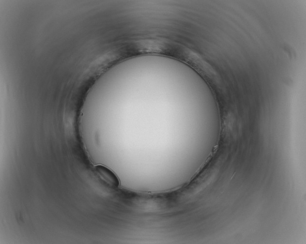 X0000115070209200911101310