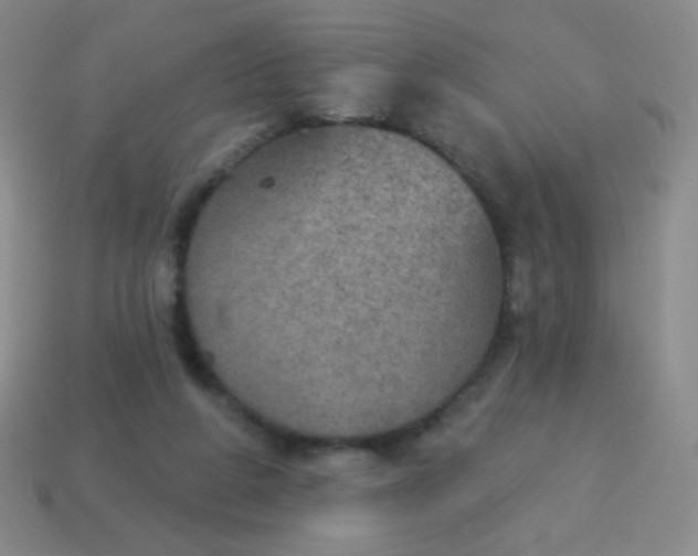 X0000115070210200911101310