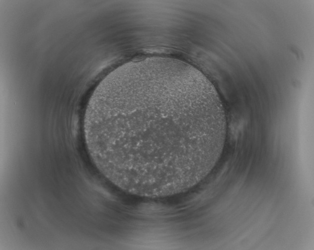X0000115070211200911101310