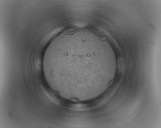 X0000115070212200911101309