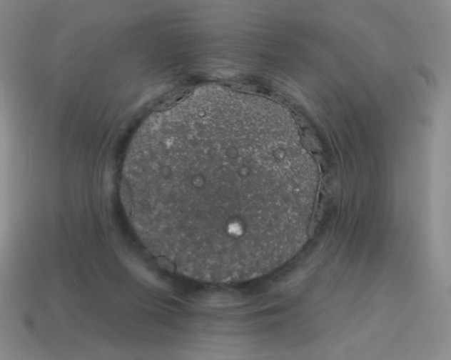 X0000115070215200911101309