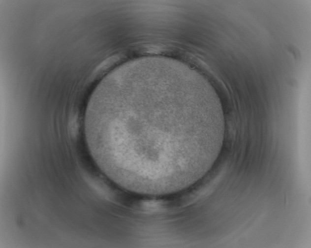 X0000115070216200911101309