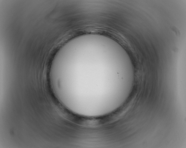 X0000115070217200911101309