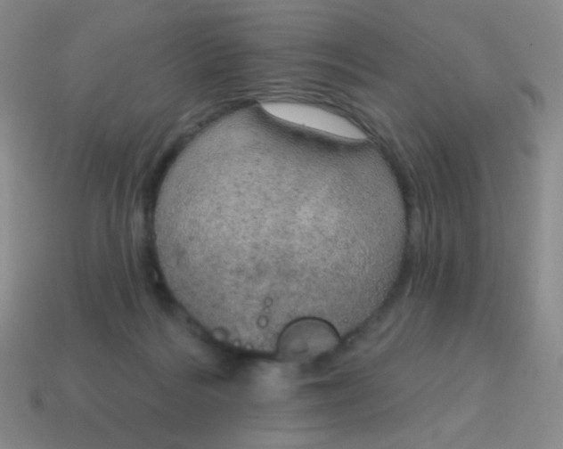 X0000115070220200911101309