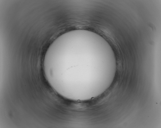 X0000115070221200911101309