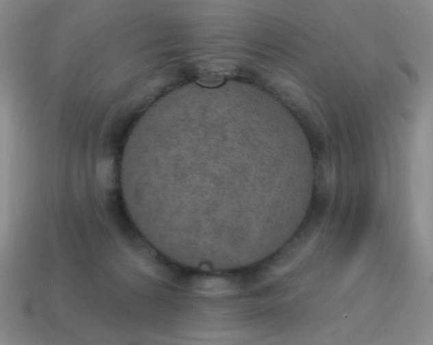 X0000115070224200911101309