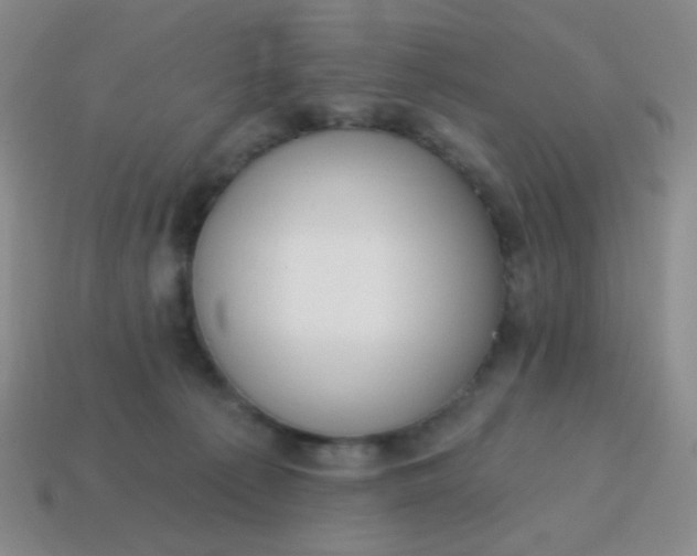 X0000115070225200911101309