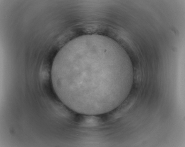 X0000115070226200911101309