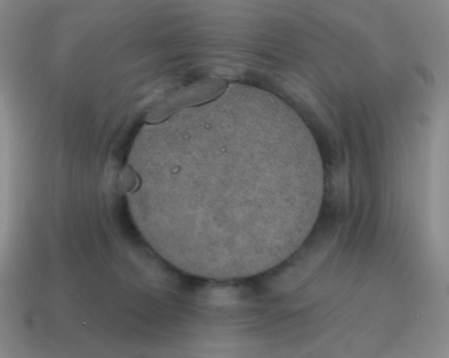 X0000115070228200911101309