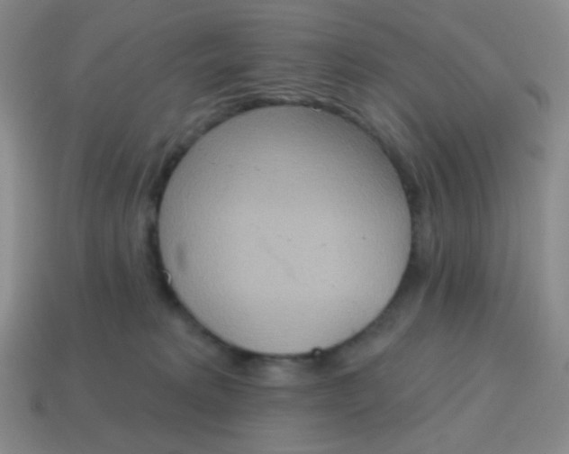 X0000115070229200911101309