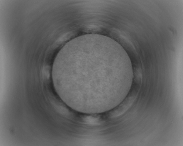 X0000115070232200911101309