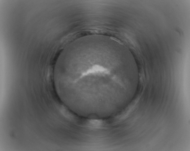 X0000115070233200911101309