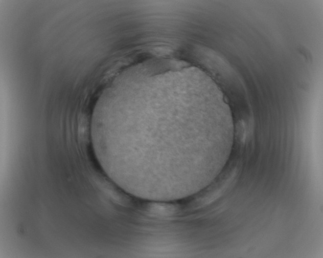 X0000115070234200911101309