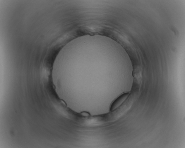 X0000115070235200911101309