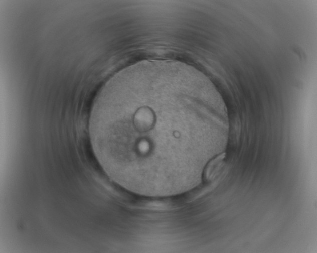 X0000115070236200911101309