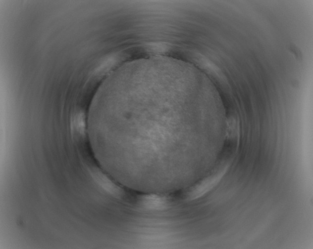 X0000115070238200911101309