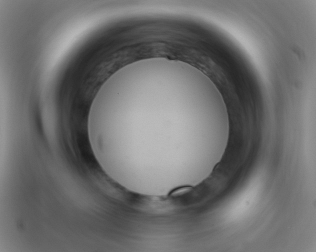 X0000115070239200911101309