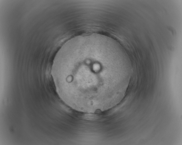 X0000115070240200911101309