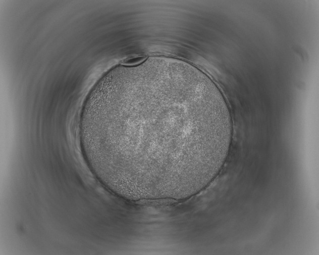 X0000115070241200911101309