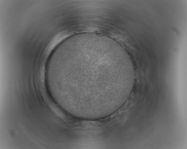 X0000115070242200911101309