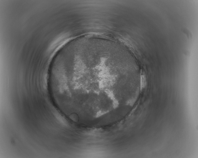 X0000115070243200911101309