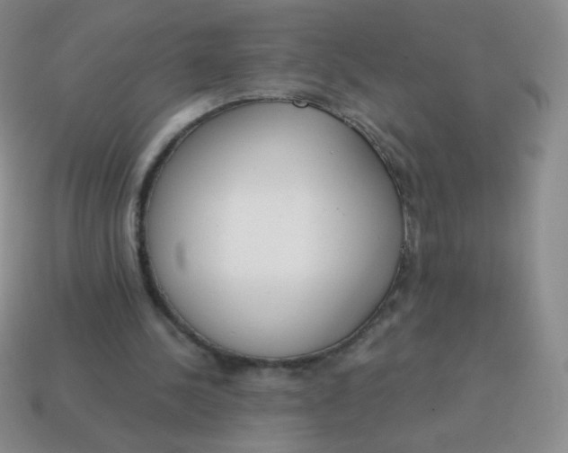 X0000115070244200911101309