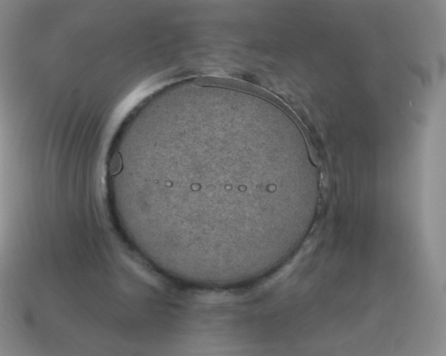 X0000115070246200911101309