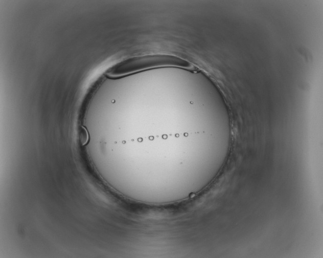 X0000115070248200911101309