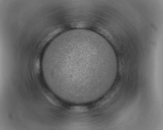 X0000115070251200911101309