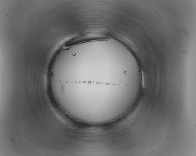 X0000115070252200911101309