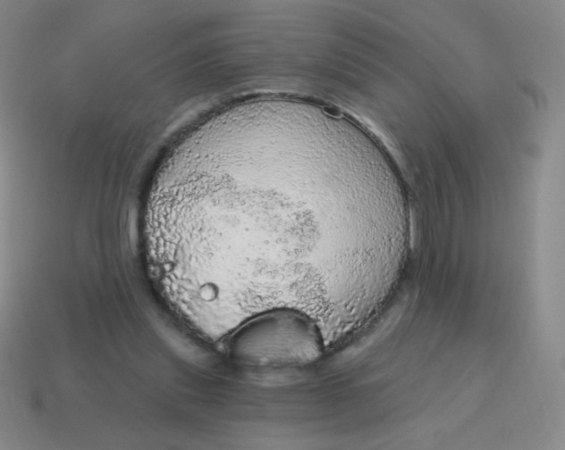 X0000115070253200911101309