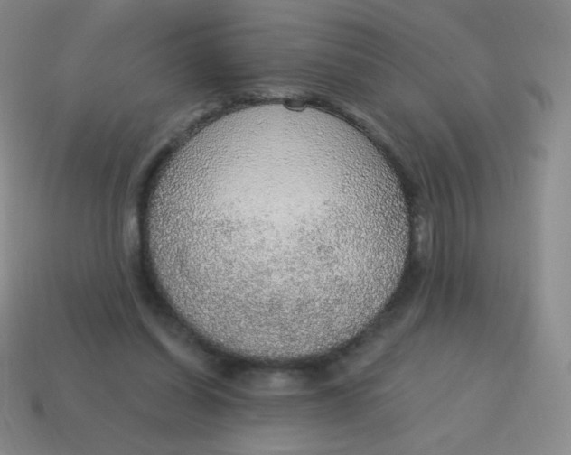 X0000115070254200911101309