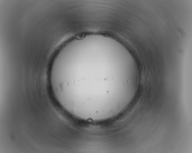 X0000115070256200911101309