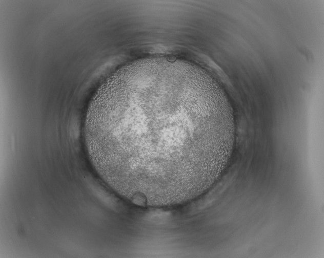 X0000115070257200911101309