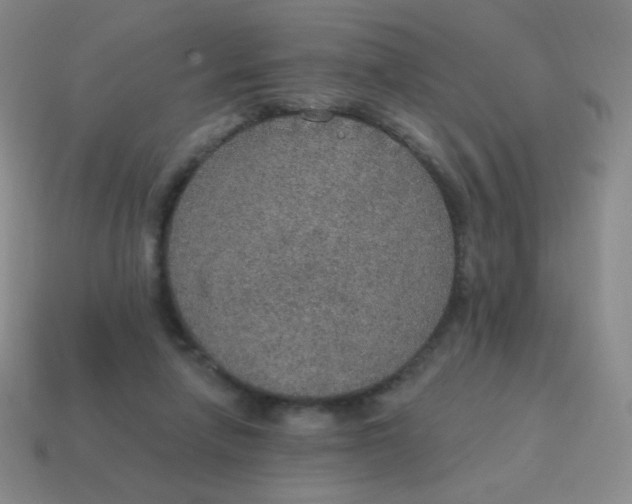 X0000115070258200911101309